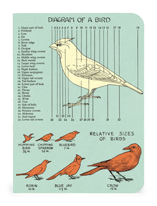 Bird Watching Mini Notebooks 3-pack