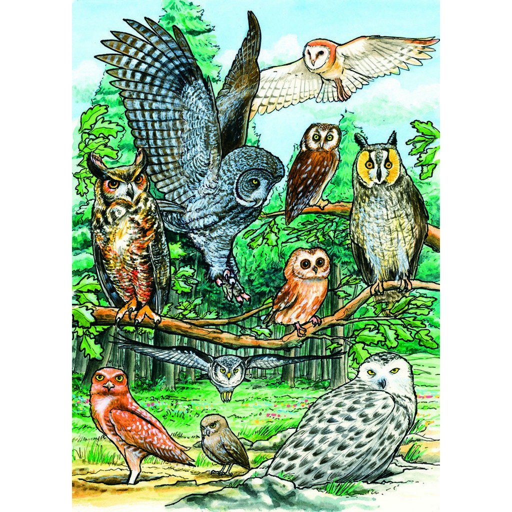 North American Owl 35pc Tray Puzzle