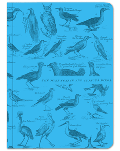 Ornithology Birds Softcover Notebook