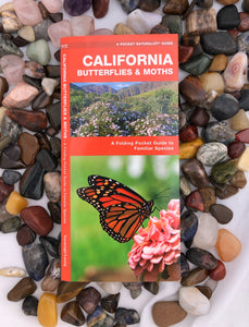 Pocket Naturalist Guides