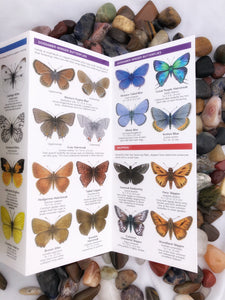 Pocket Naturalist Guides