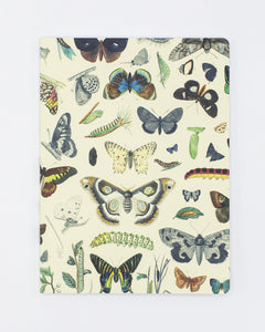 Butterflies Softcover Dot Grid Notebook
