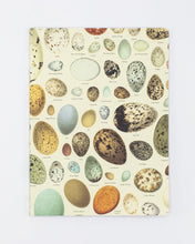 Load image into Gallery viewer, Eggs Softcover Lined Notebook
