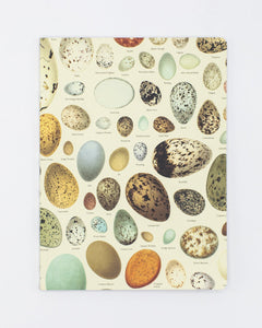 Eggs Softcover Lined Notebook