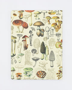 Mushrooms Plate 2 Softcover Dot Grid Notebook