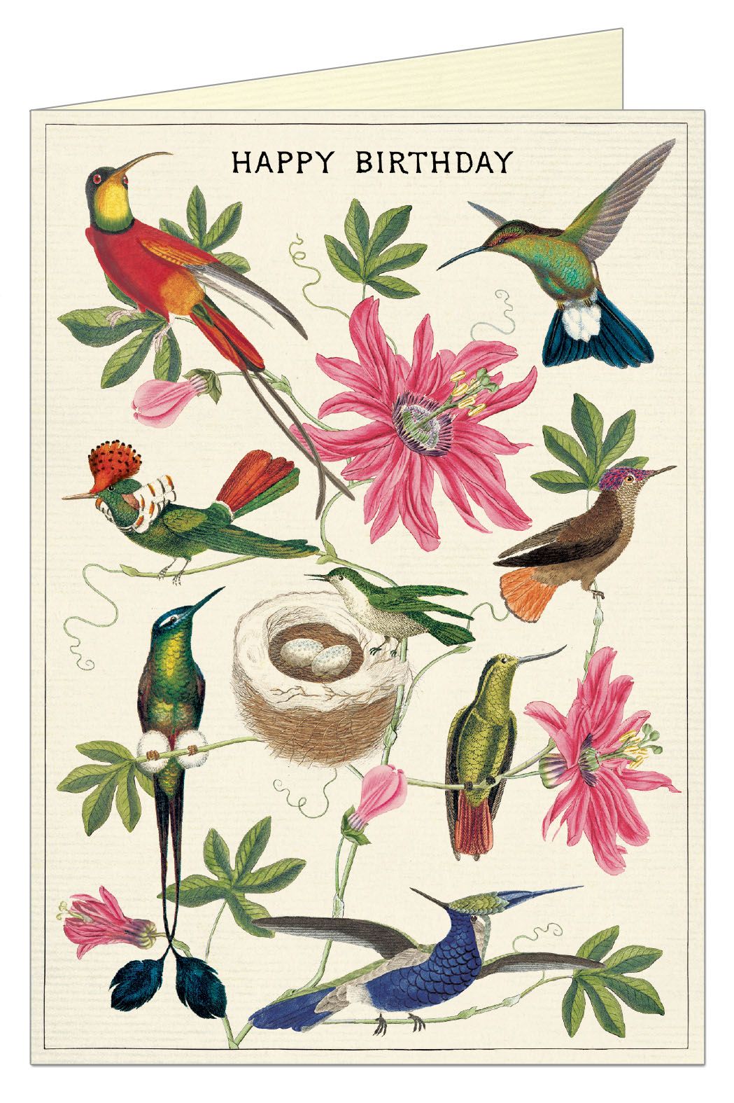Happy Birthday Hummingbirds Card