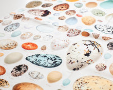 Load image into Gallery viewer, Oology Printed Tea Towel
