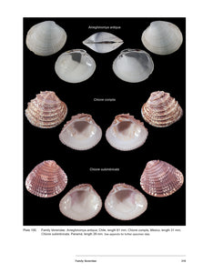 Bivalve Seashells of Western South America: Marine Bivalve Mollusks from Northern Perú to Southern Chile