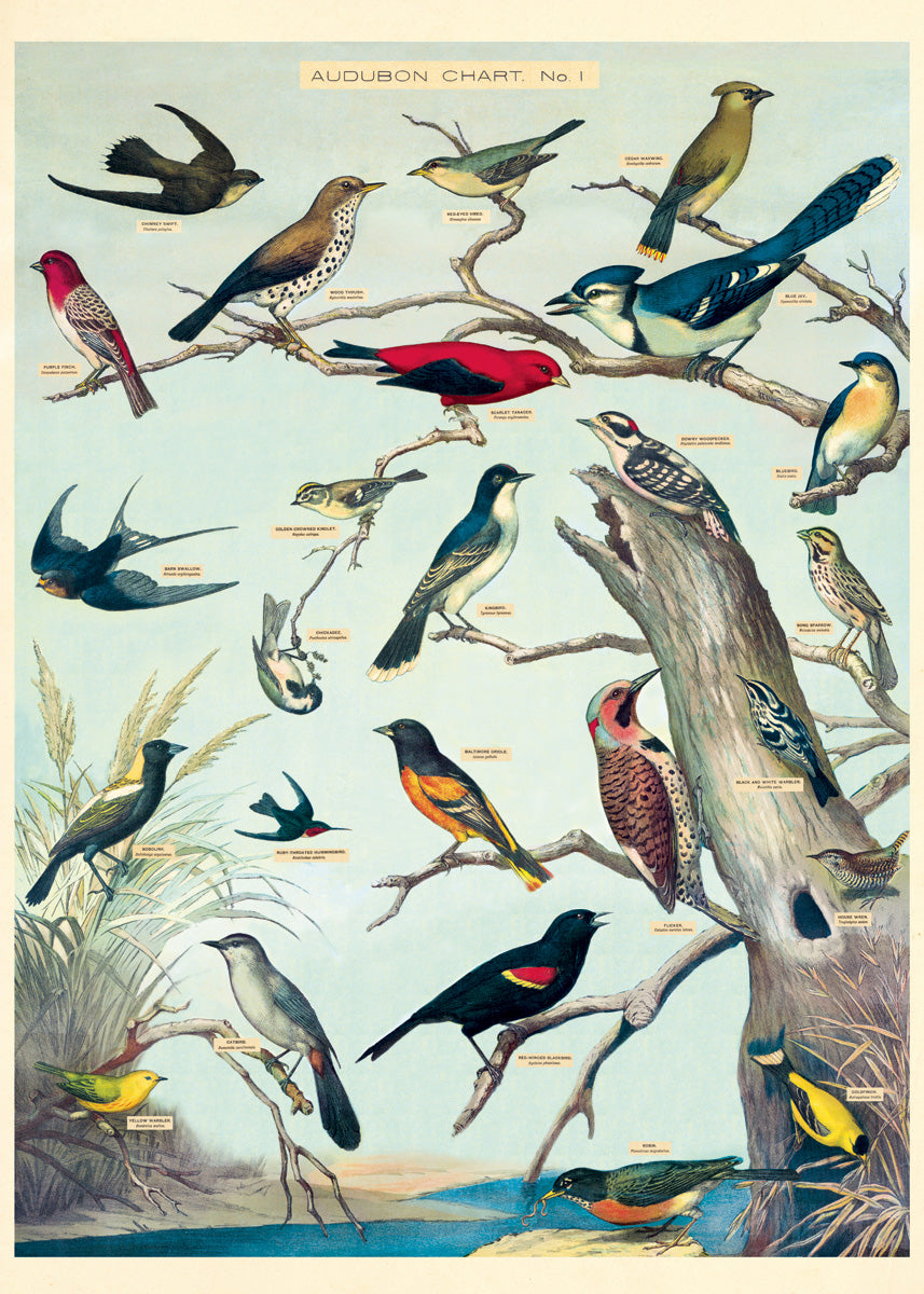 Audubon Bird Wrap