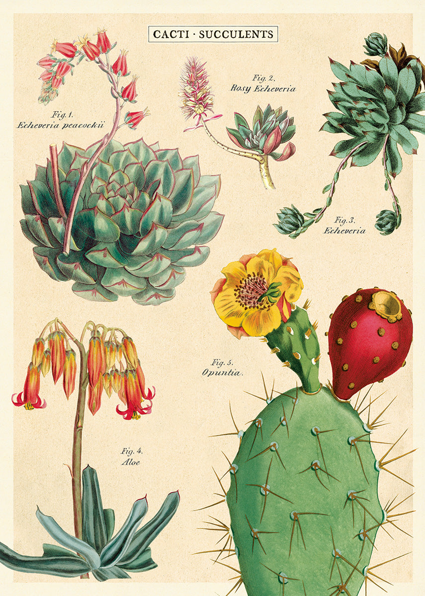 Cacti & Succulents 2 Wrap 