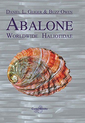 Abalone Worldwide Haliotidae
