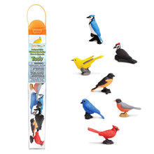 Load image into Gallery viewer, Backyard Birds Toy Tube
