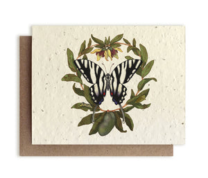 Zebra Butterfly and Paw Paw Plantable Seed Card