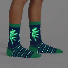 Load image into Gallery viewer, Arch-eology Junior Crew Socks
