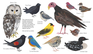 Counting Birds: The Idea That Helped Save Our Feathered Friends