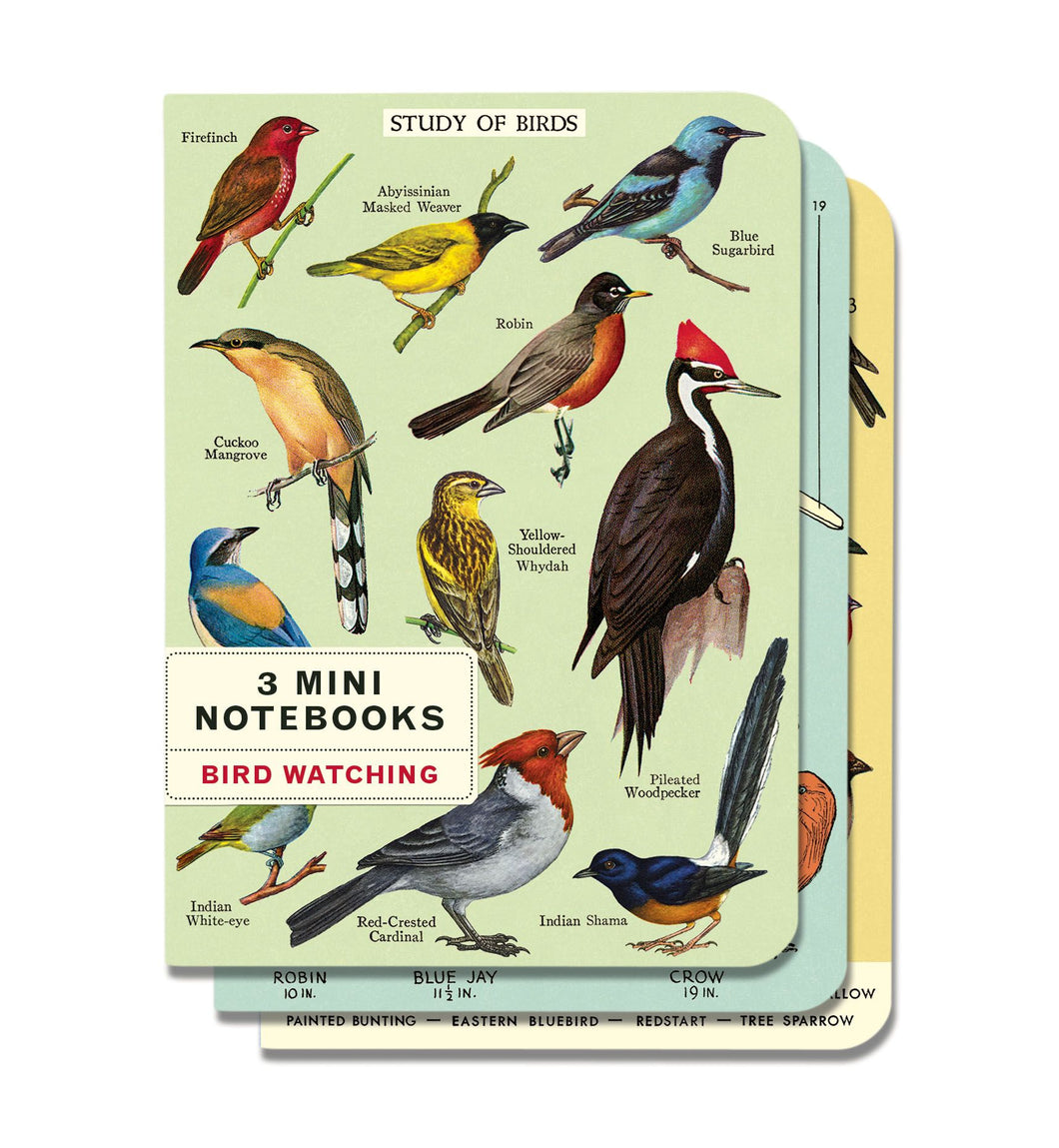 Bird Watching Mini Notebooks 3-pack