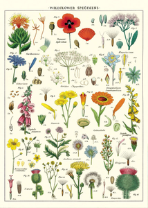 Wildflowers Wrap