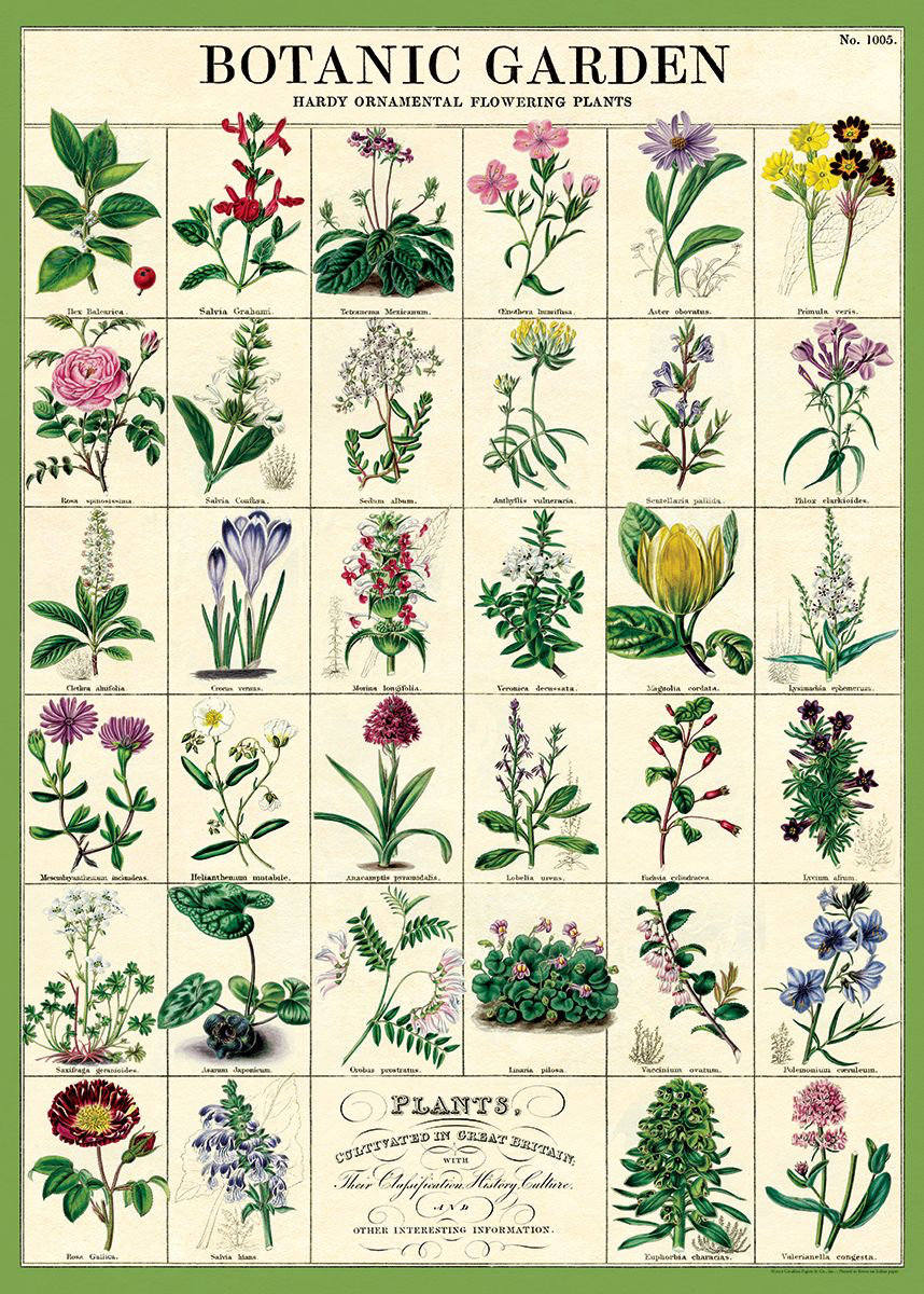 Botanic Garden Wrap