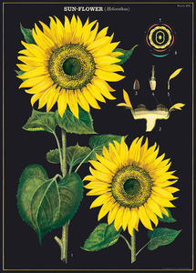 Sunflower Wrap