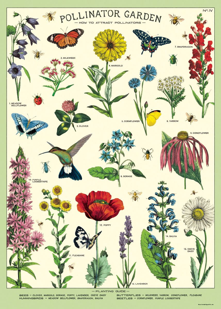 Pollinators Wrap