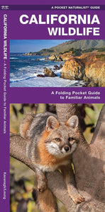 Pocket Naturalist Guides