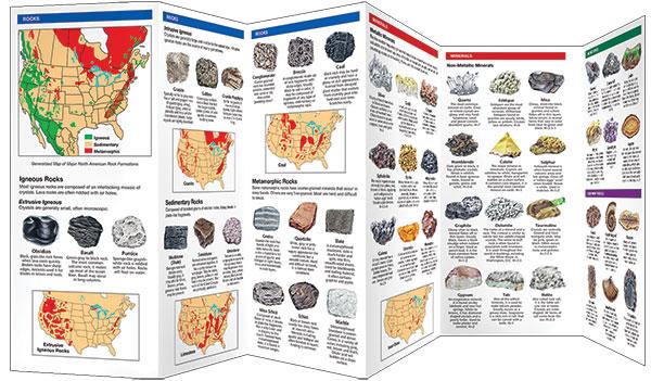 Pocket Naturalist Guides – sbnature Store