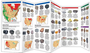 Pocket Naturalist Guides