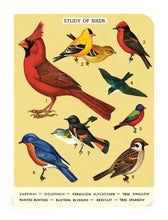 Load image into Gallery viewer, Bird Watching Mini Notebooks 3-pack
